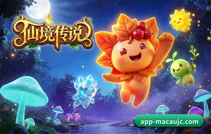 澳门六合彩 APP 深度功能